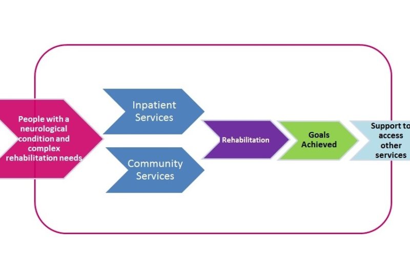 Neuro-Rehabilitation model flow chart