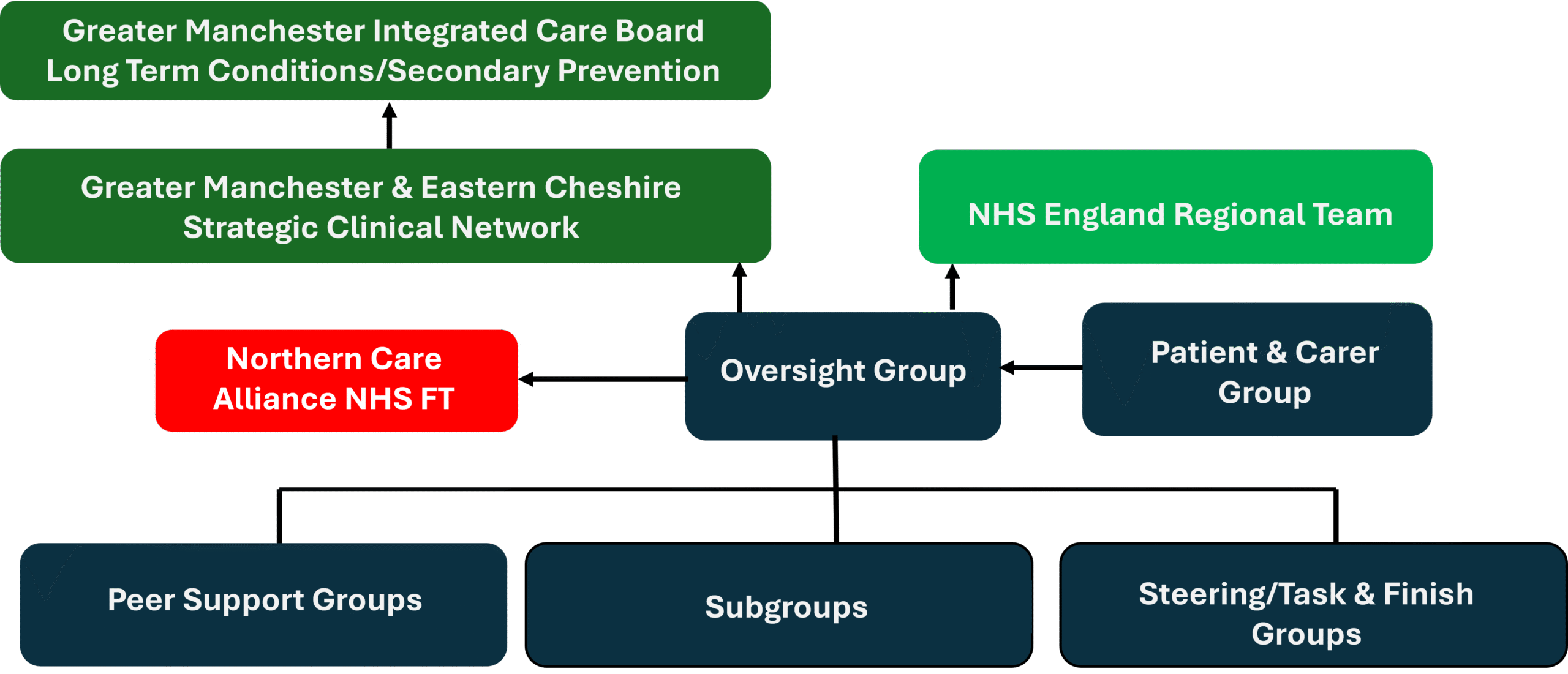 Network governance structure diagram